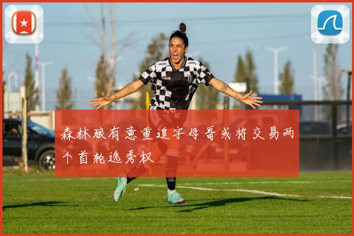 森林狼有意重追字母哥或将交易两个首轮选秀权